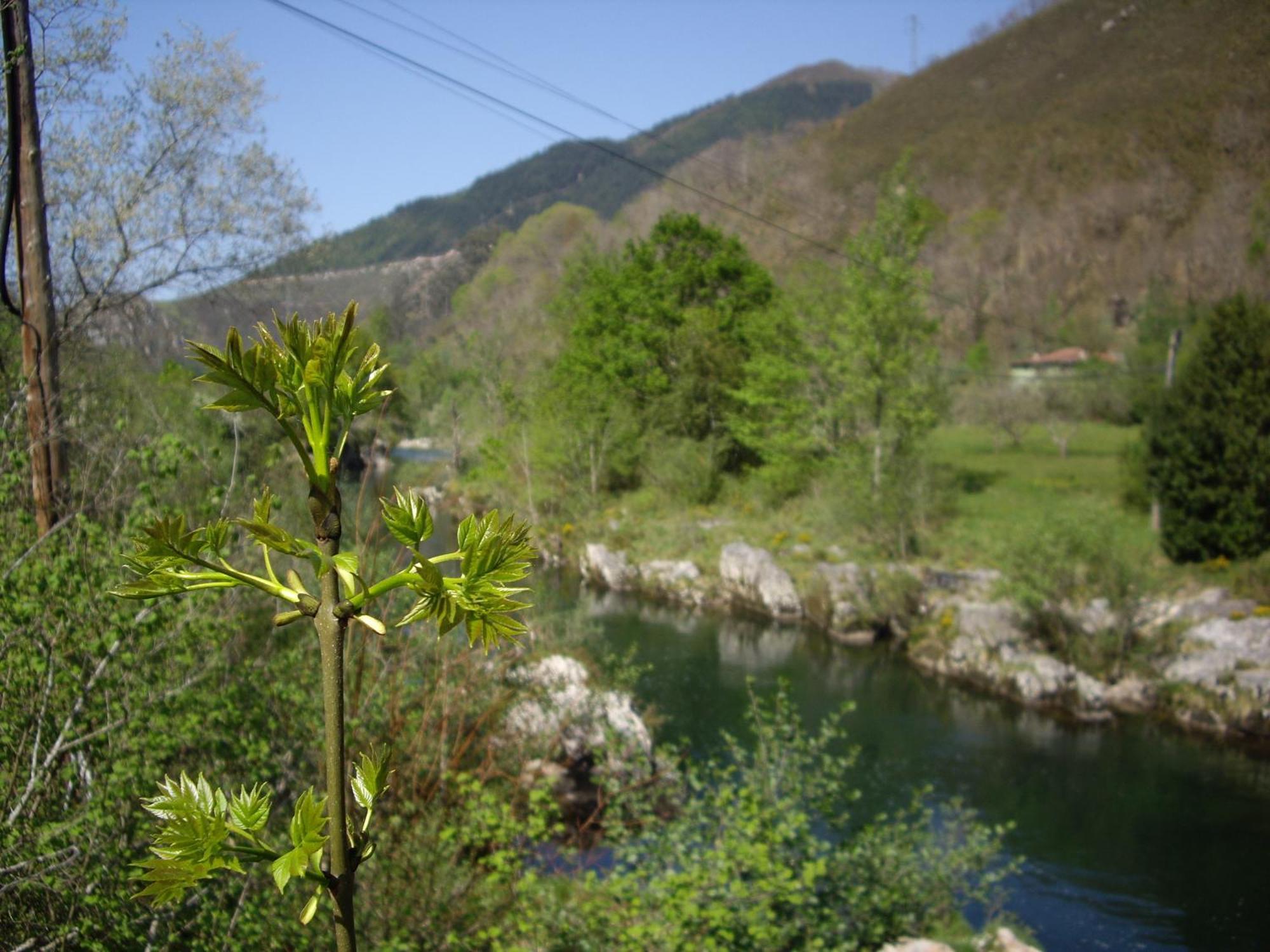 Casa Rural El Canton กังกัส เด โอนิส ภายนอก รูปภาพ